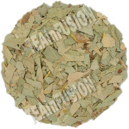 Eucalipto hoja triturada | Infusión herbal respiratoria | TEAinFUSION