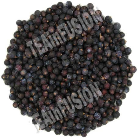 Enebro bayas TEAinFUSION | Aroma balsámico y propiedades