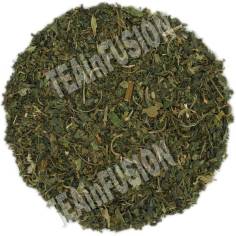 Ortiga Verde TEAinFUSION | Infusión natural depurativa y revitalizante