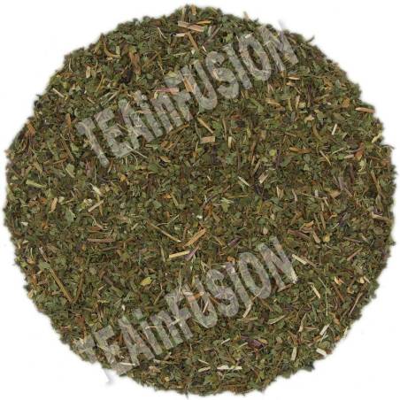 Menta Piperita TEAinFUSION | Infusión refrescante y digestiva natural