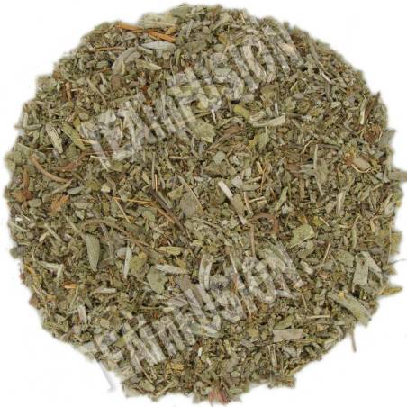Salvia Aragón cortada TEAinFUSION | Digestiva y antiinflamatoria