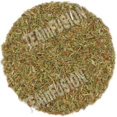 Té de Roca TEAinFUSION | Infusión digestiva y tonificante