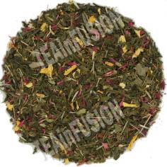 Té Verde Estilizaté TEAinFUSION | Infusión depurativa