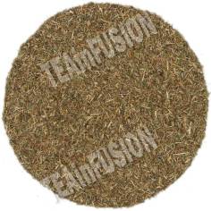 Tomillo TEAinFUSION | Infusión digestiva y respiratoria