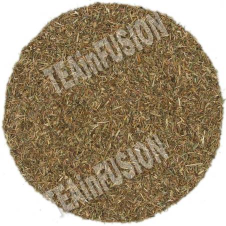 Tomillo TEAinFUSION | Infusión digestiva y respiratoria