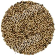 Pimienta Blanca en Grano TEAinFUSION | Sabor suave y aromático