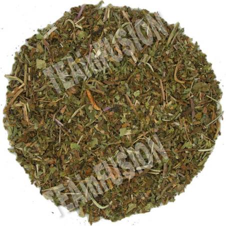 Diente de León cortado | Infusión herbal depurativa | TEAinFUSION