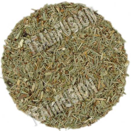 Cola de Caballo Cortada TEAinFUSION | Infusión vegetal natural