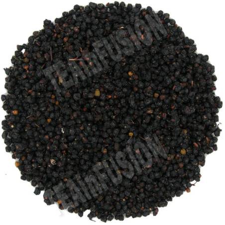 Bayas de saúco TEAinFUSION | Fruto natural y aromático