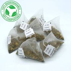 Infusión Del Puerto Digestiva Pirámides Biodegradables - TeaInfusion 2