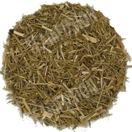 Erísimo Triturado TEAinFUSION | Cuidado natural de la voz