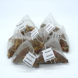 Rooibos Digestivo Pirámides Biodegradables | TeaInfusion