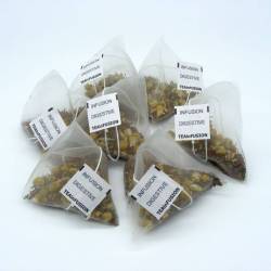 Infusión Digestive Pirámides Biodegradables | TeaInfusion