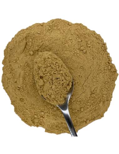 Jengibre Molido TEAinFUSION | Especia aromática y natural