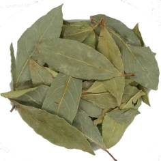 Laurel Hoja Entera TEAinFUSION | Infusión digestiva y aromática