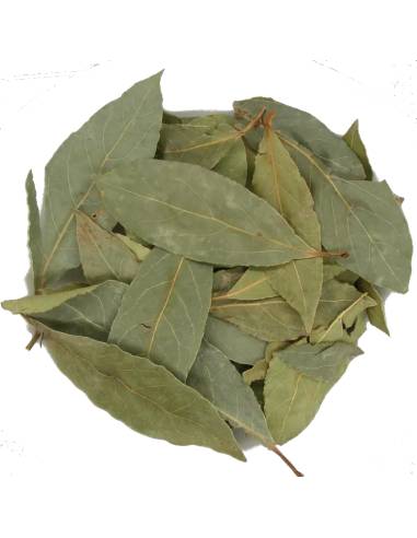 Laurel Hoja Entera TEAinFUSION | Infusión digestiva y aromática