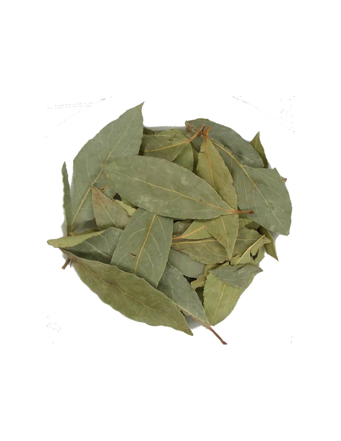 Plantas Relajantes o Sedantes