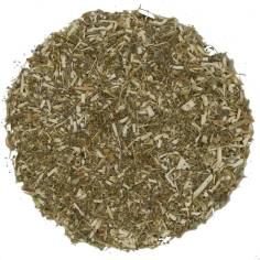 Ajenjo o Artemisa TEAinFUSION | Planta herbal intensa para infusiones digestivas