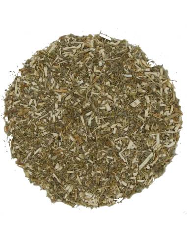 Ajenjo hierba cortada | Infusión herbal natural | TEAINFUSION