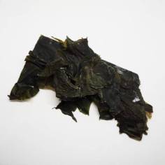 Alga Wakame TEAinFUSION | Alga deshidratada para cocina asiática y natural