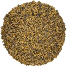 Alholva Fenogreco semillas digestivas aroma intenso TEAinFUSION