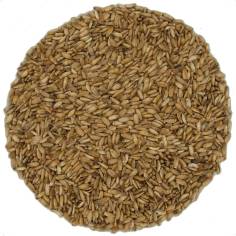 Cardo Mariano Semillas | Infusión herbal depurativa TEAinFUSION