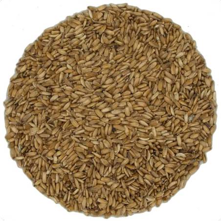 Cardo Mariano Semillas | Infusión herbal depurativa TEAinFUSION