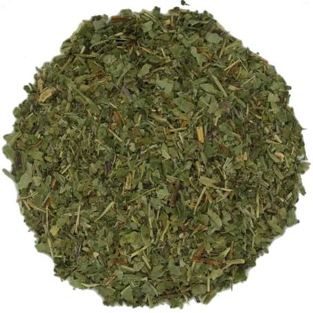 Equinácea Purpurea Cortada TEAinFUSION | Infusión herbal sin teína