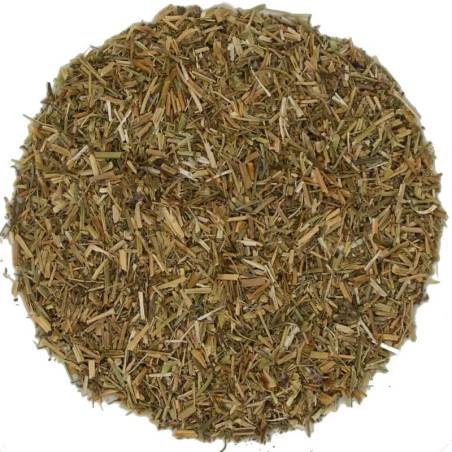 Fumaria Hierba Cortada TEAinFUSION | Infusión depurativa sin teína