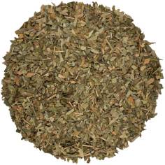Ginkgo Biloba - hoja cortada - TeaInfusion