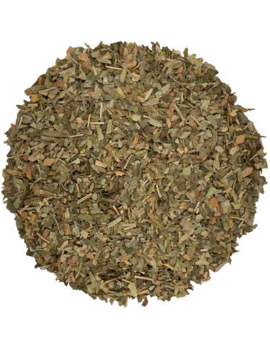 Ginkgo Biloba - hoja cortada - TeaInfusion