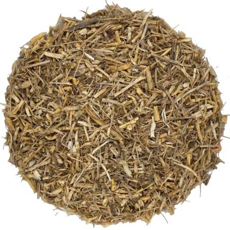 Grama raíz TEAinFUSION | Infusión depurativa y urinaria