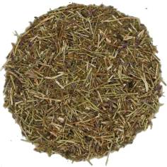 Hisopo Planta Cortada TEAinFUSION | Infusión herbal tradicional y sin teína