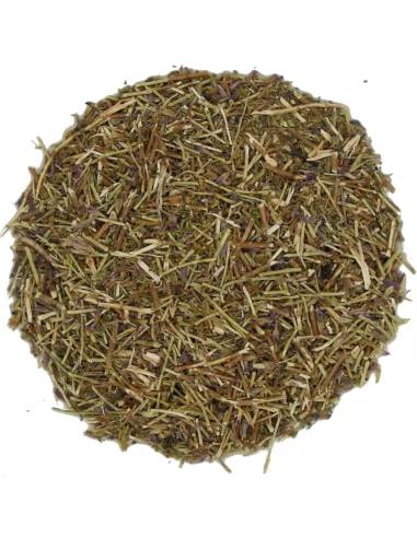 Hisopo Planta Cortada TEAinFUSION | Infusión herbal tradicional y sin teína
