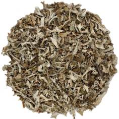 Liquen de Islandia TEAinFUSION | Infusión balsámica y natural sin teína