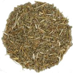 Marrubio Blanco TEAinFUSION | Bienestar digestivo y respiratorio