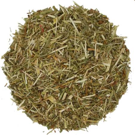 Meliloto Hierba TEAinFUSION | Bienestar circulatorio y digestivo