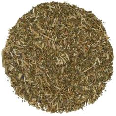 Pulmonaria planta cortada | Infusión herbal respiratoria | TEAinFUSION