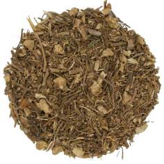 Ruscus aculeatus raíz TEAinFUSION | Bienestar circulatorio y diurético