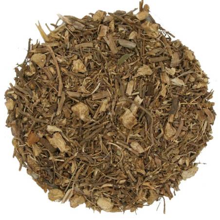 Ruscus aculeatus raíz TEAinFUSION | Bienestar circulatorio y diurético