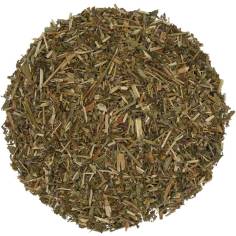 Salicaria hierba TEAinFUSION | Bienestar digestivo y antiinflamatorio
