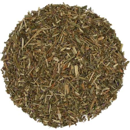 Salicaria hierba TEAinFUSION | Bienestar digestivo y antiinflamatorio