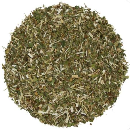 Solidago TEAinFUSION | Infusión depurativa y diurética natural