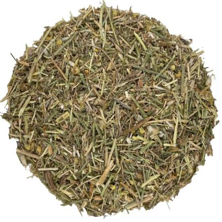 Centaurea Aspera o Travalera TEAinFUSION | Infusión digestiva y depurativa