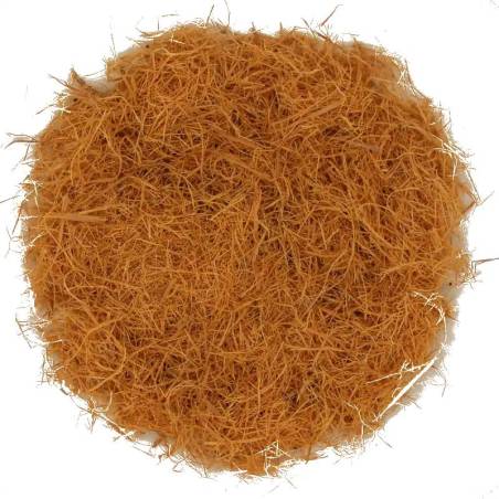 Uña de gato TEAinFUSION | Corteza natural para infusión saludable