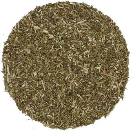Verbena TEAinFUSION | Infusión herbal aromática
