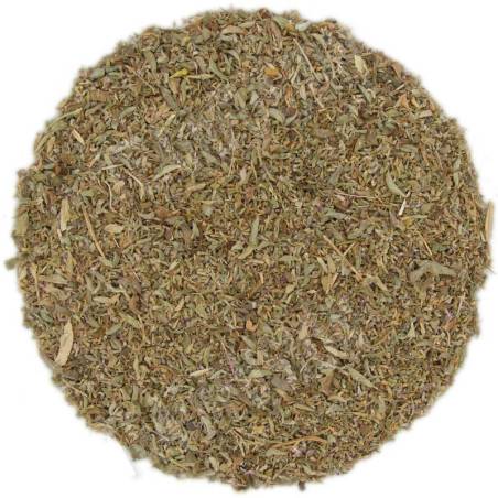 Poleo Extra TEAinFUSION | Infusión digestiva y refrescante