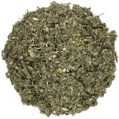 Artemisa cortada TEAinFUSION | Infusión equilibrante digestiva natural