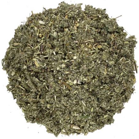 Artemisa TEAinFUSION | Infusión natural equilibrante