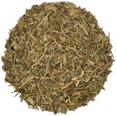 Centella Asiática TEAinFUSION | Bienestar circulatorio y piel